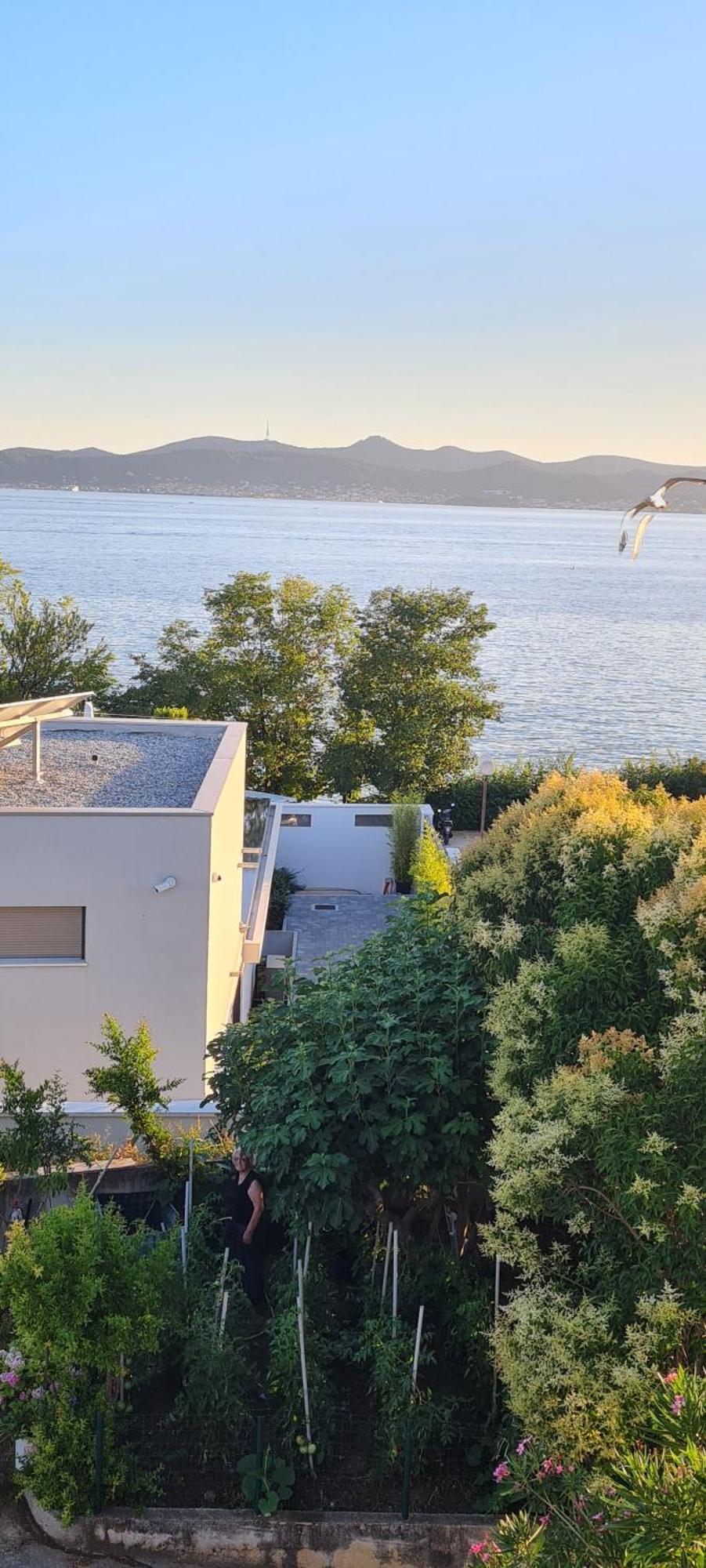 Apartment Seaview House Mali Rog *